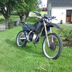 Suzuki Rmx