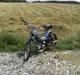 Puch Maxi S