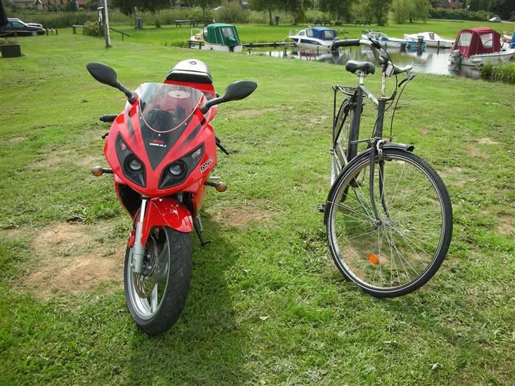 Rieju Rs 2 Matrix evt salg billede 6