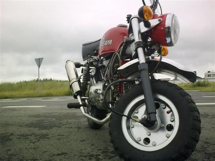 Skyteam monkey:D solgt billede 1