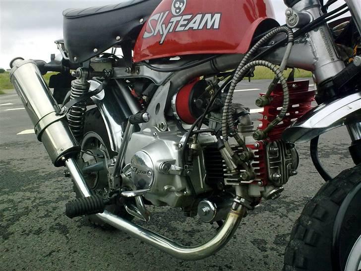 Skyteam monkey:D solgt billede 3