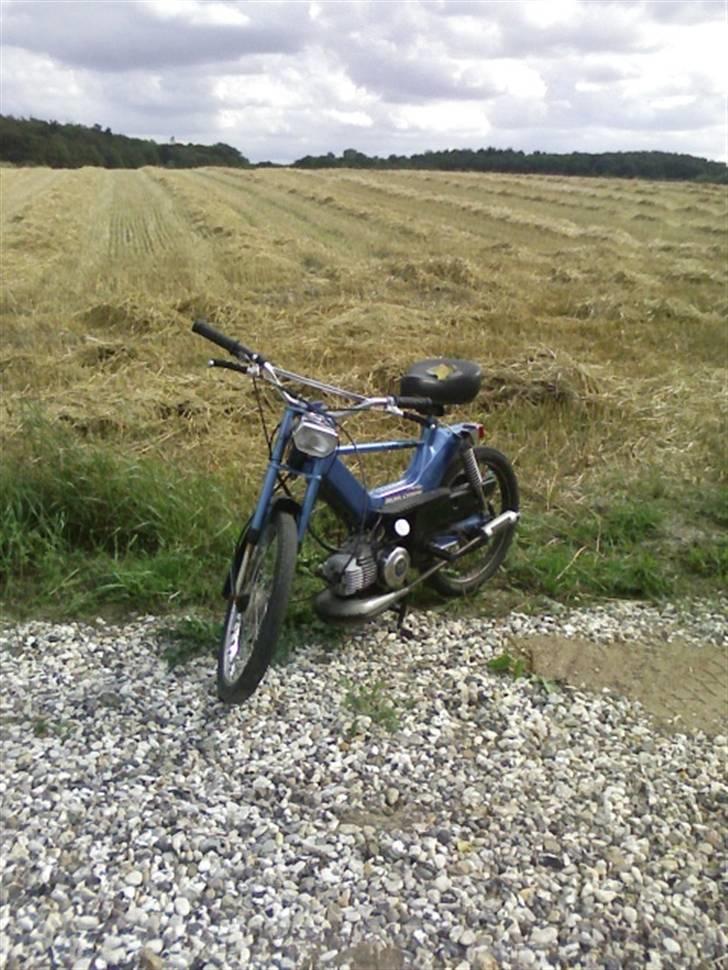 Puch Maxi S billede 1
