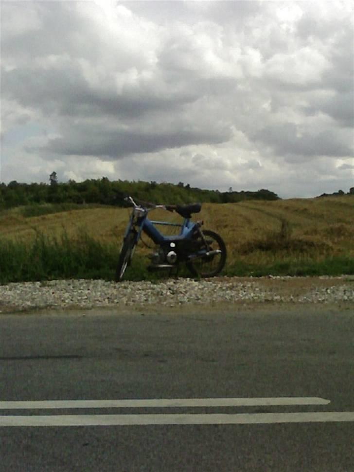 Puch Maxi S billede 9