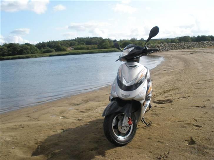 TMS classic 50cc billede 4