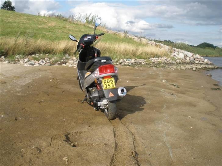 TMS classic 50cc billede 6