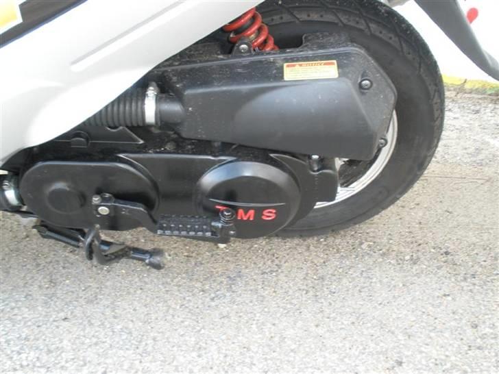 TMS classic 50cc billede 8