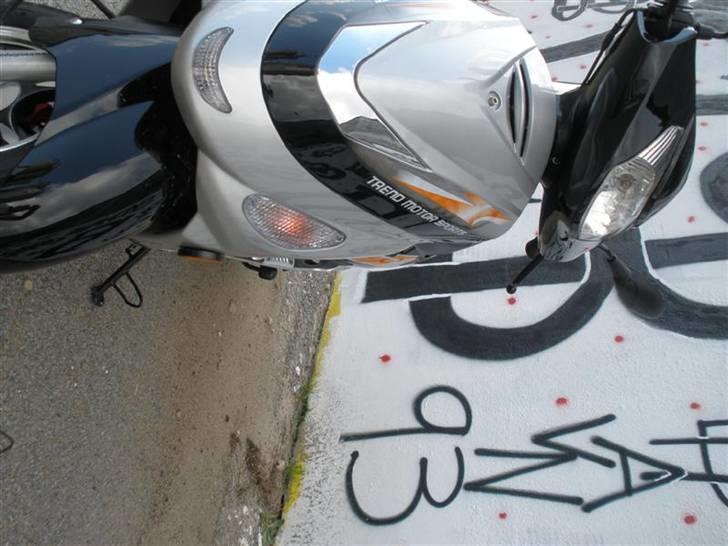 TMS classic 50cc billede 16