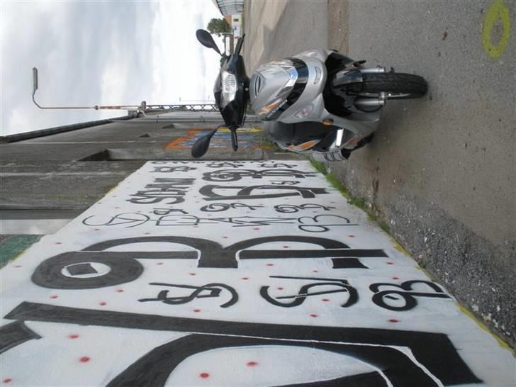 TMS classic 50cc billede 17