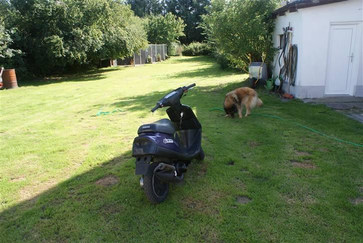 Yamaha Jog fs *BYTTET TIL SENDA* billede 5