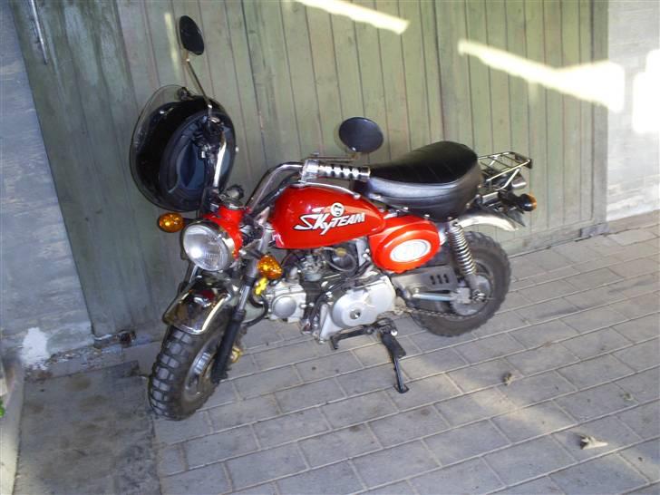 Skyteam monkey - er hun ikke bare fed billede 11