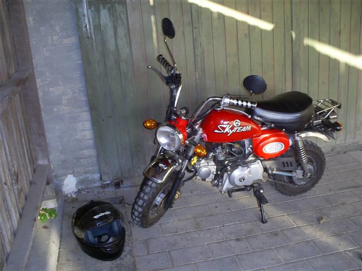 Skyteam monkey - feeeeed billede 12