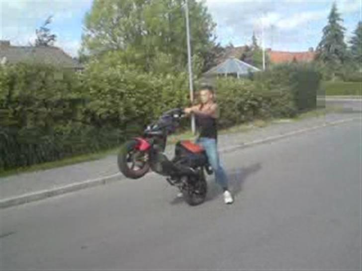 PGO pmx sport byttet til jog  billede 1