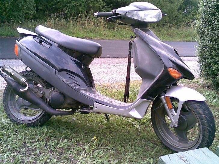 Adly Silverfox billede 6