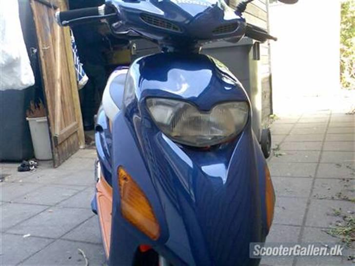 Honda SFX *under ombygning* billede 1