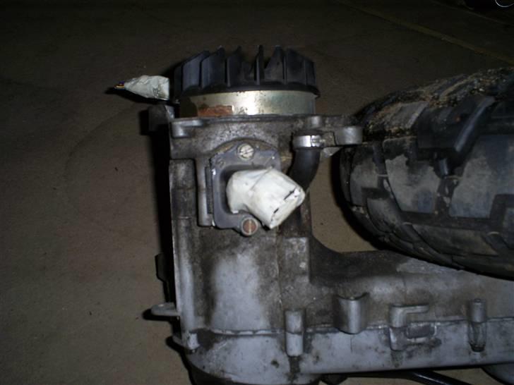 Gilera Stalker/Typhoon billede 4