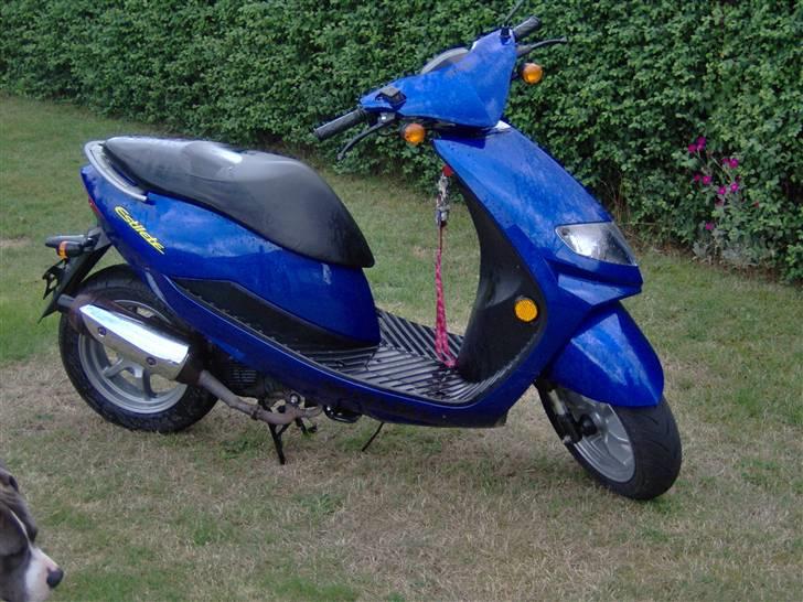 Suzuki estilete uf50/z Til Salg billede 1