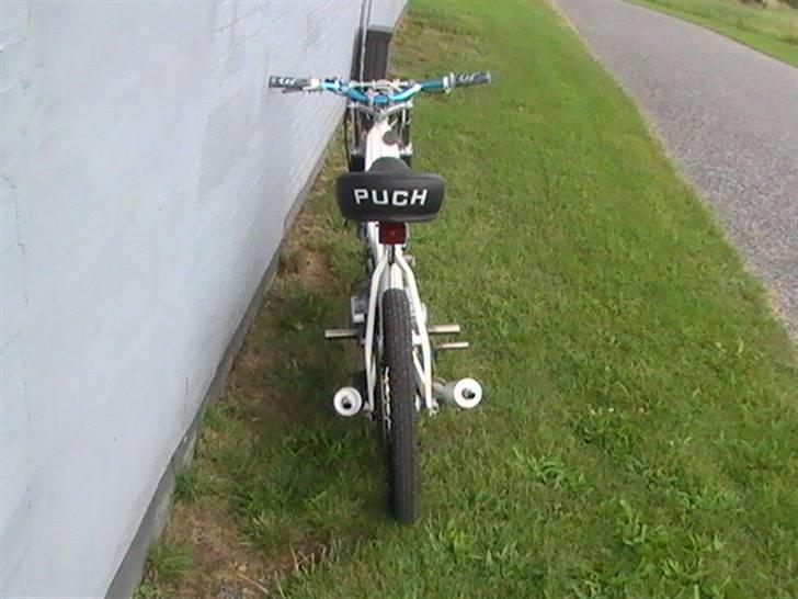 Puch Maxi billede 6