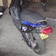 PGO Hot 50 Taget af Politi