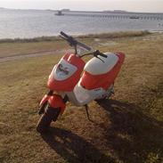 PGO Hot 50 (SOLGT)