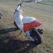 PGO Hot 50 (SOLGT)