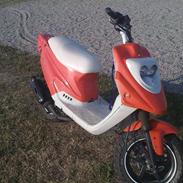 PGO Hot 50 (SOLGT)