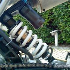 TM pitpro motard