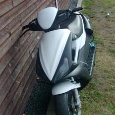 Benelli 491 gt (GONE)