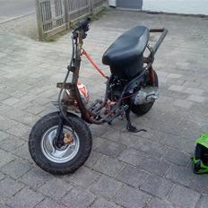 Adly silverfox (død)