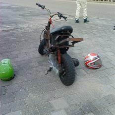 Adly silverfox (død)