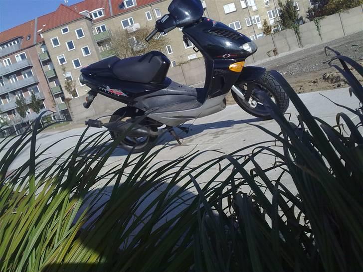 Aprilia Sr 50 Lc DD solgt billede 7