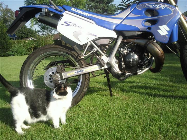 Suzuki SMX - Monique <3 SOLGT! billede 9