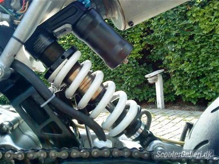 TM pitpro motard billede 2