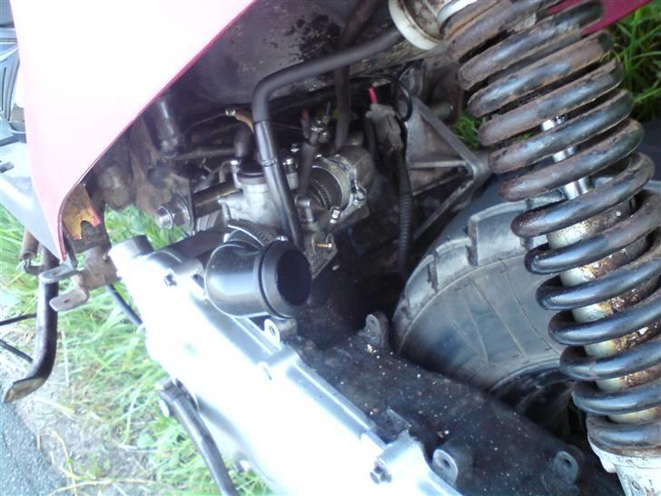 PGO hot 50 solgt billede 5