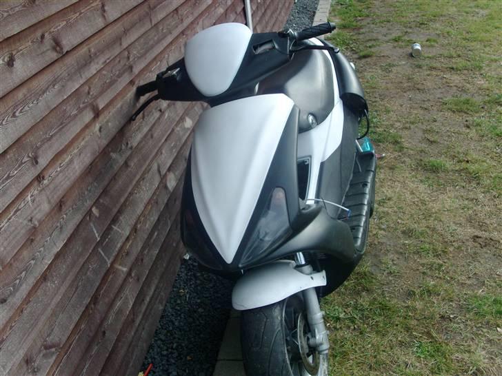 Benelli 491 gt (GONE) billede 1