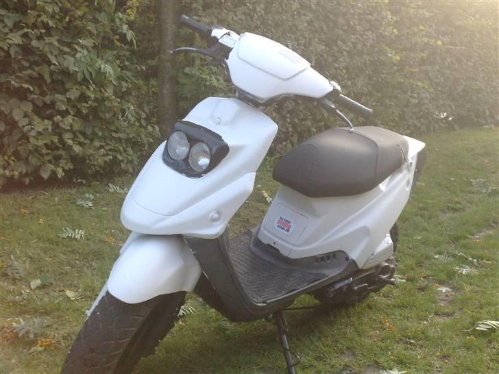 PGO Big Max (Den Hvide Drøm) billede 1