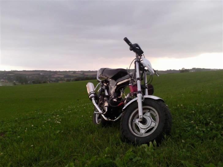 Skyteam Dax billede 14