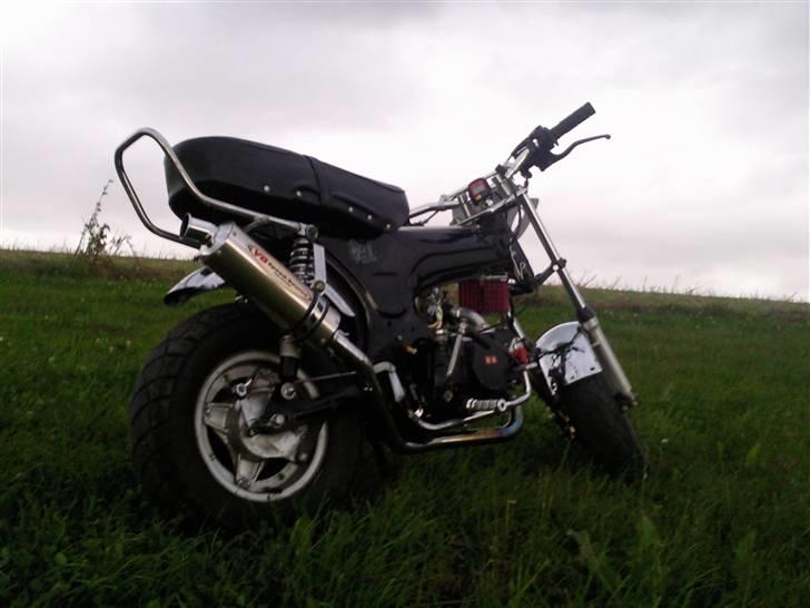 Skyteam Dax billede 15