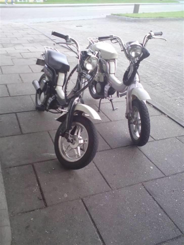 Suzuki FZ50 billede 2