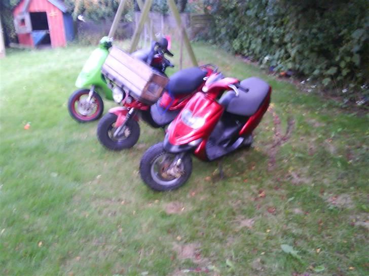 Gilera stalker byttet til street billede 12