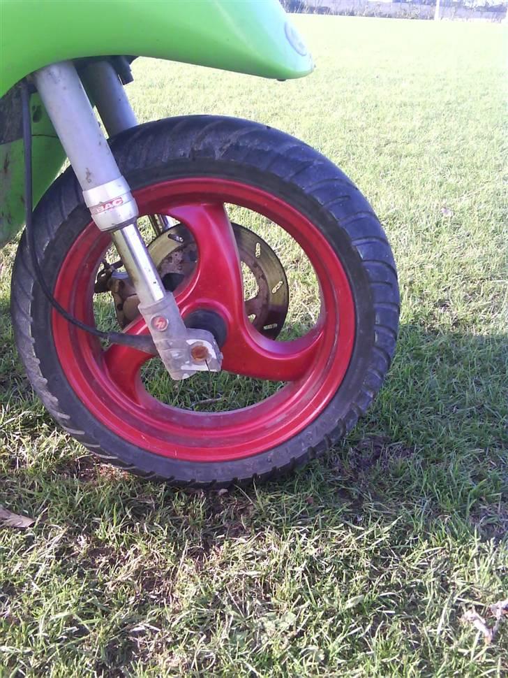 Piaggio typhoon billede 5