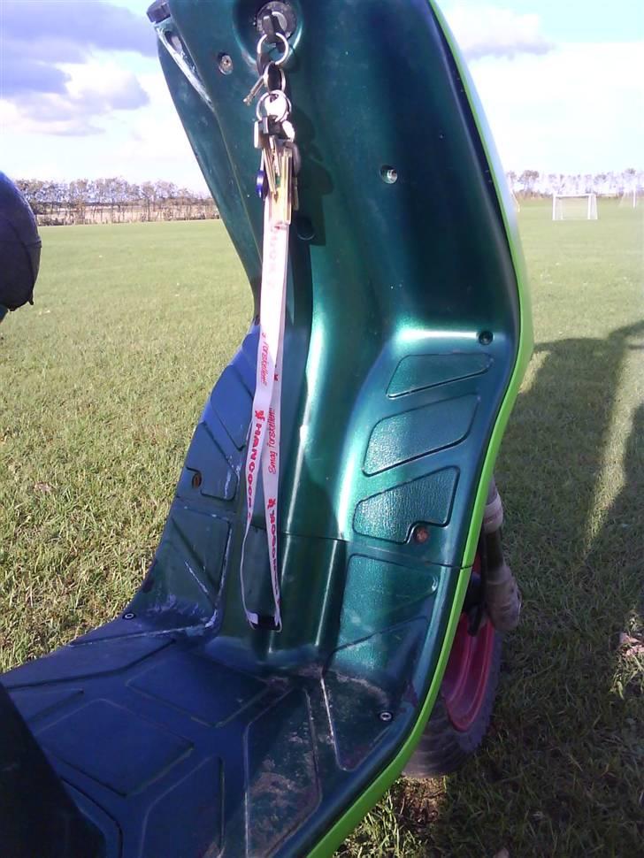 Piaggio typhoon billede 9