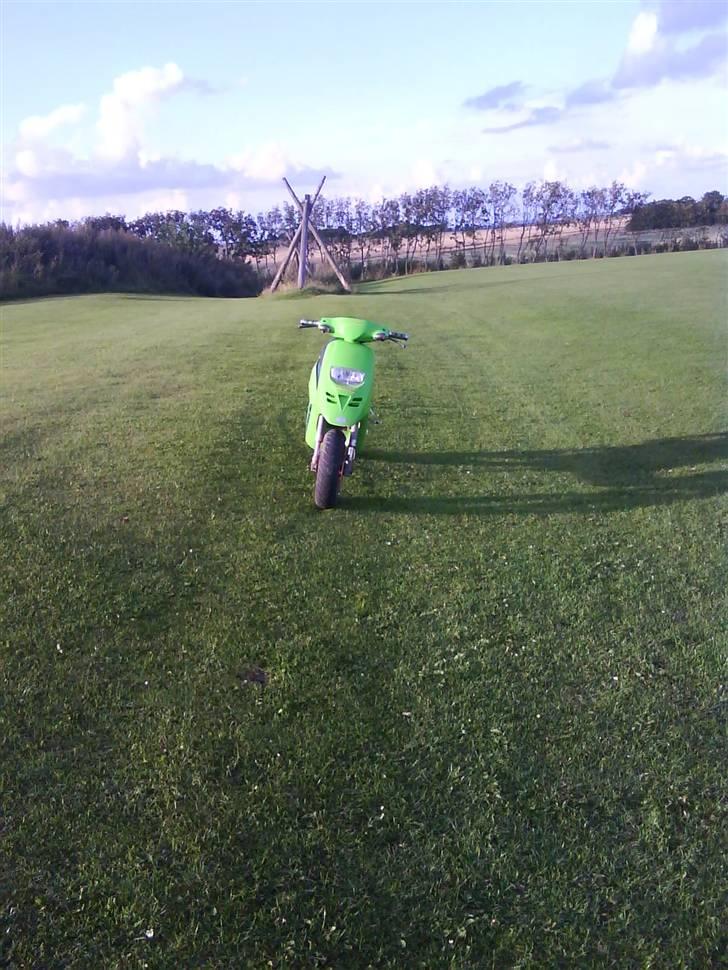 Piaggio typhoon billede 10