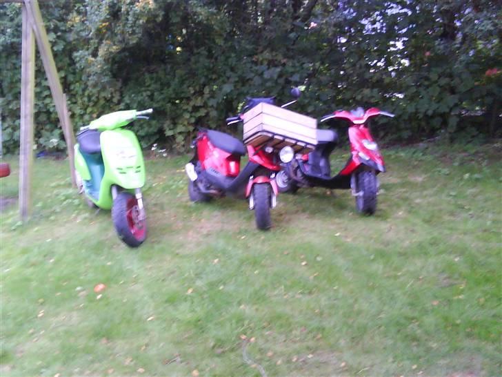 Piaggio typhoon billede 11