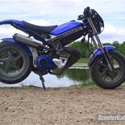 Suzuki Street Magic