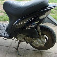 Gilera stalker