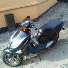 PGO dr.big TORTAL SKADET