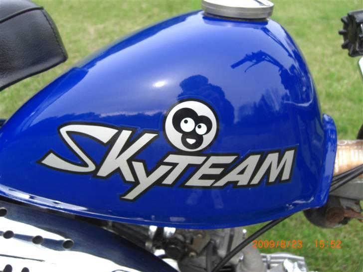 Skyteam Monkey (byttet) billede 9