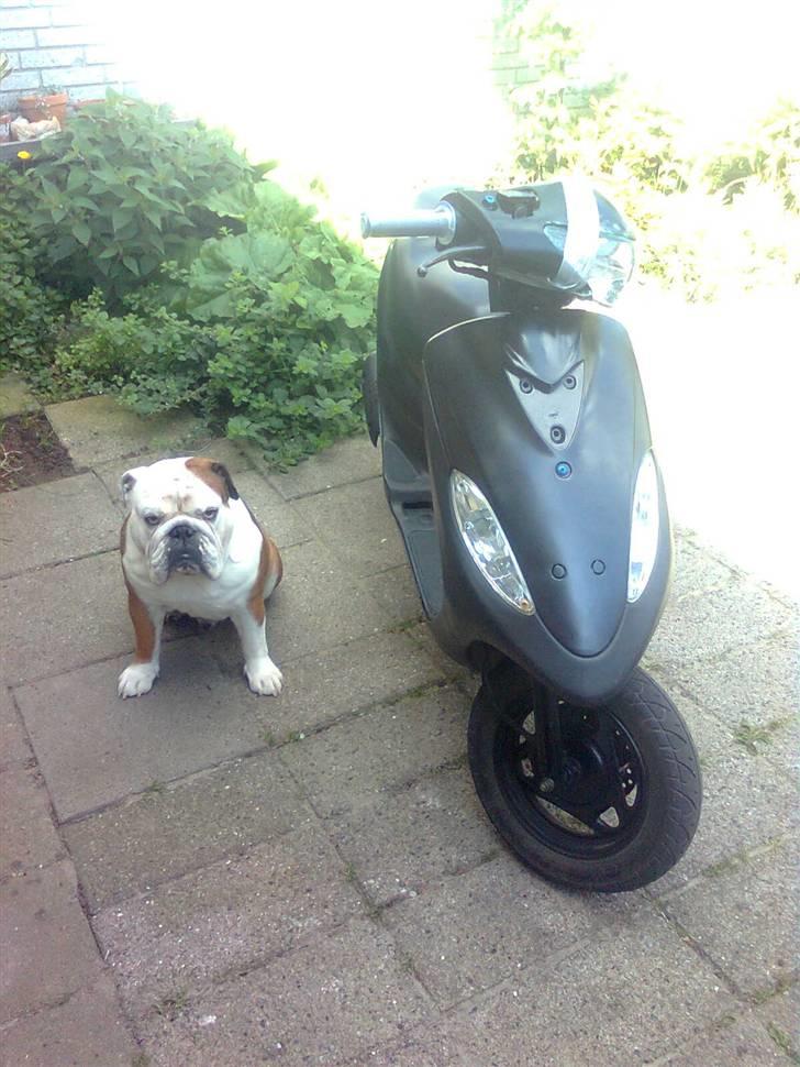 Sym DD 50 billede 18