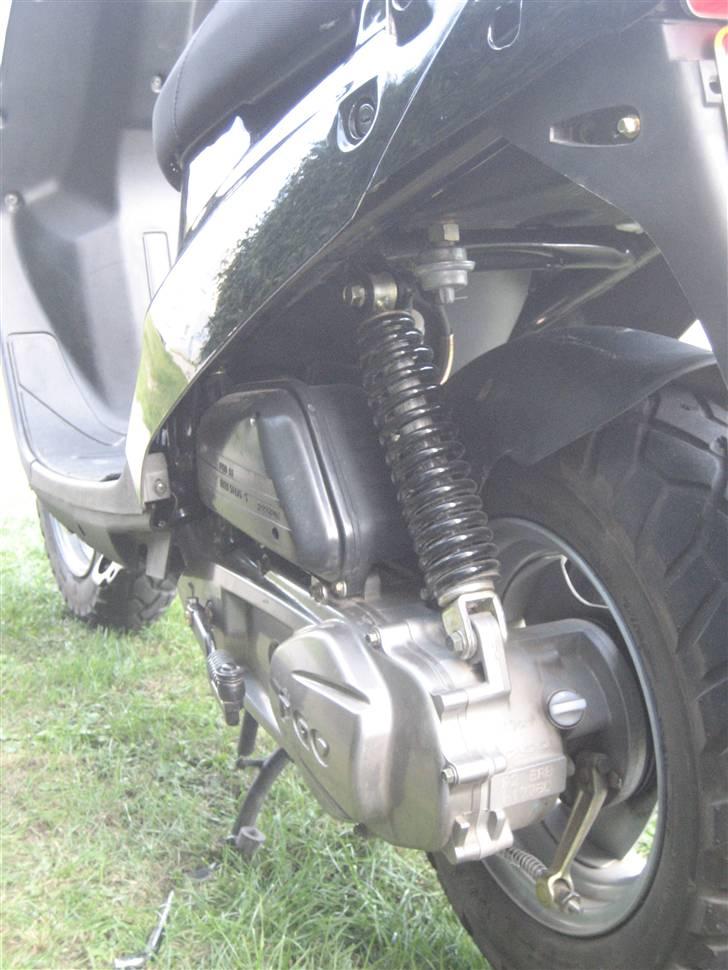 PGO Hot 50 (SOLGT) billede 10