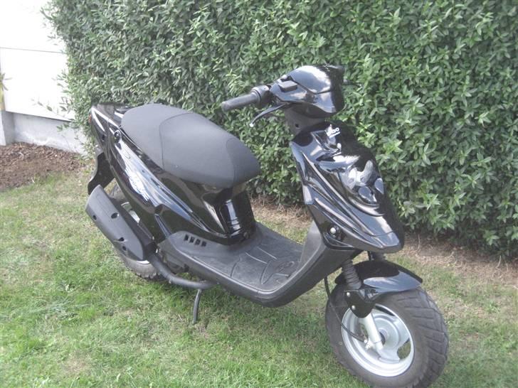 PGO Hot 50 (SOLGT) billede 13